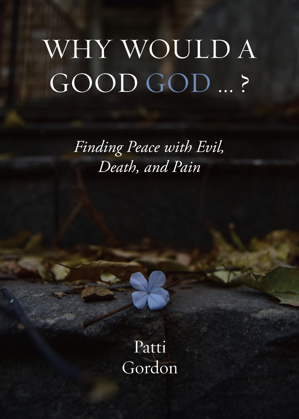 Why Would a Good God...? by Patti Gordon